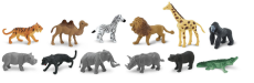 safari safari