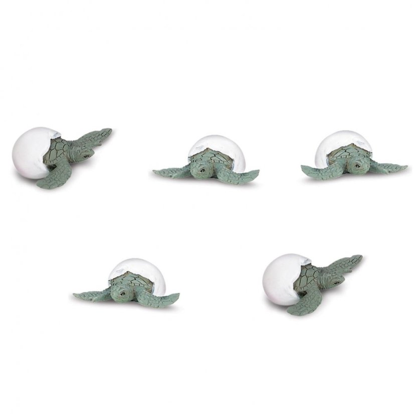 Mláďata mořské želvy - Good Luck Minis