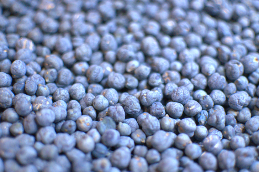 Modré práškové potravinářské barvivo, 5 g