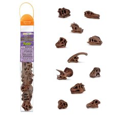 Tuba - Lebky dinosaurů