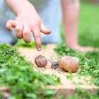 Dítě a svět 🌳🦋