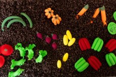 Pěstování zeleniny -  400g - kreativní mix