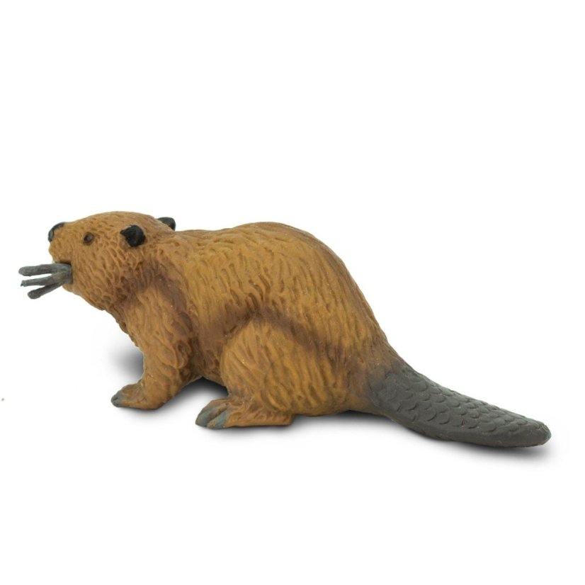 Safari Ltd. Figurka - Bobr