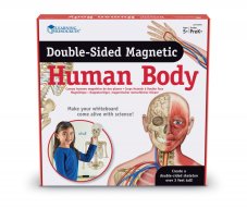 Oboustranné magnetické lidské tělo